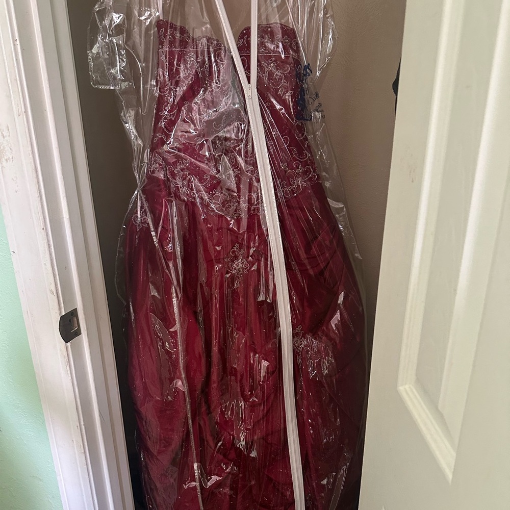 Quinceañera dress